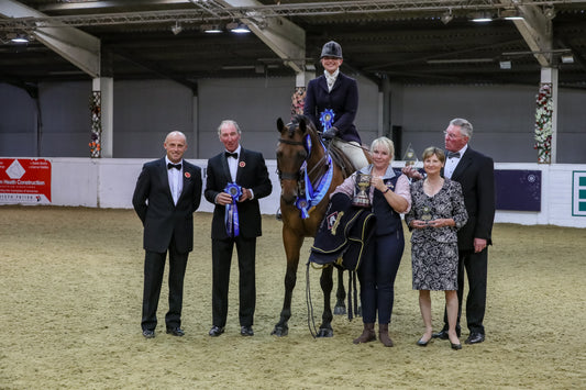 Carnsdale Irish Times WINS Blue Chip & Irish Draught Horse Society (GB) £2000 Challenge
