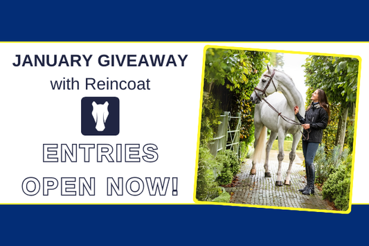 WIN! Award winning products with Reincoat