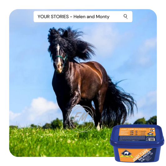 YOUR STORIES - Helen and Monty - Super Concentrated Joint Care Balancer