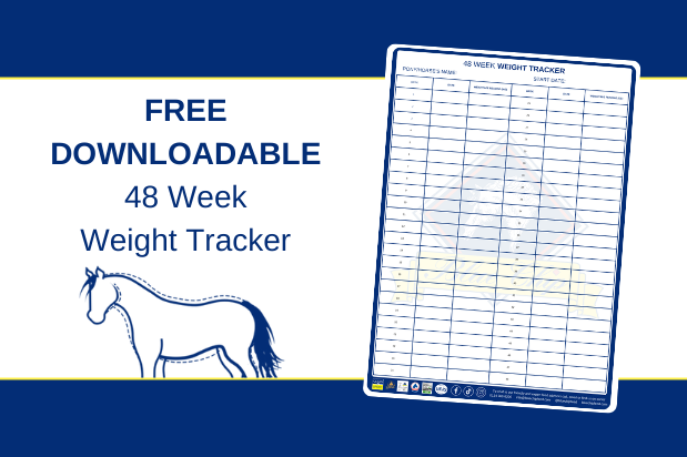 FREE Downloadable 48 Week Weight Tracker