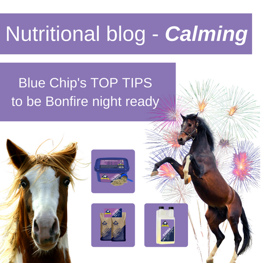 Top Tips to make sure you and your horse are ready for Bonfire night.