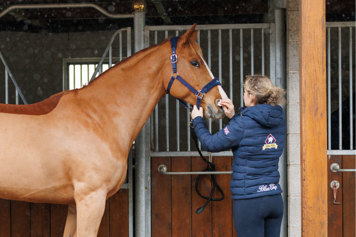 Equine Flu on the rise
