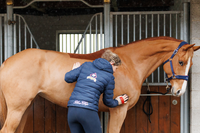 Everyday habits that upset your horse’s gut health
