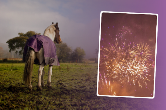 Top tips for a calmer horse - fireworks