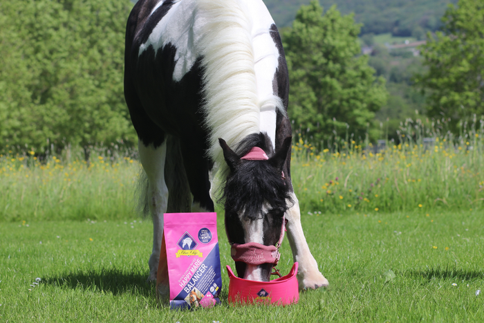 Happy Mare - Better in a balancer!