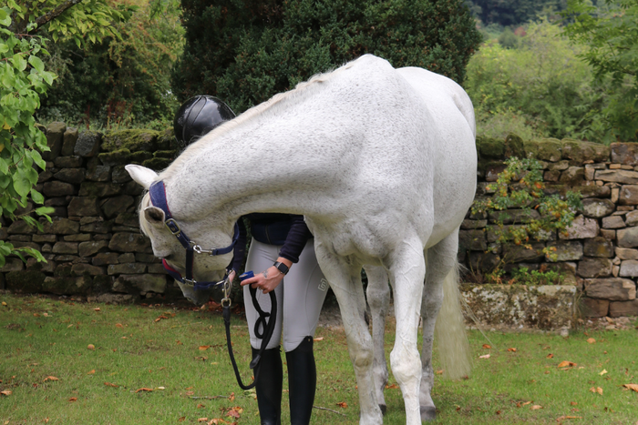 Keeping senior horses sound - non ridden exercise