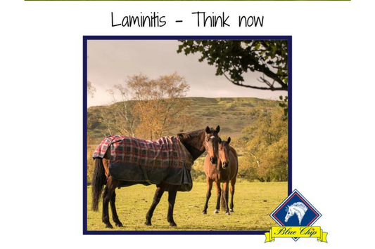 Laminitis - Think now