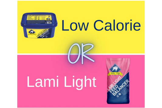 Low Calorie or Lami Light?