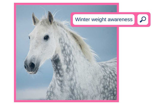 Winter weight awareness introduction