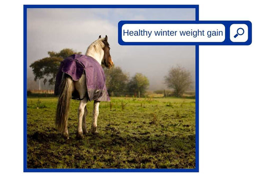 Improving your horse's weight this winter