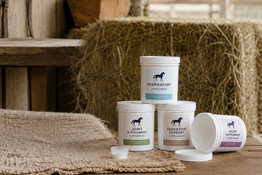 5 mistakes horse owners make before choosing a feed balancer
