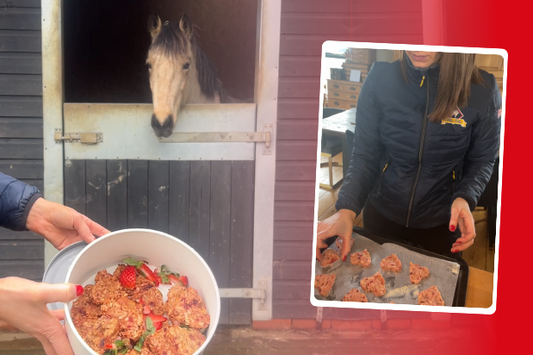 Valentine's Day Beetroot & Apple Horse Treats