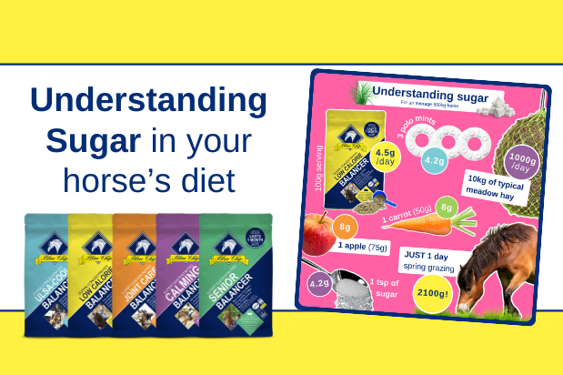 Understanding Sugar - PART 1