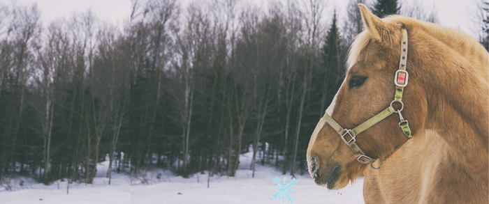 Winter Weight Loss - A hot topic in a cold season