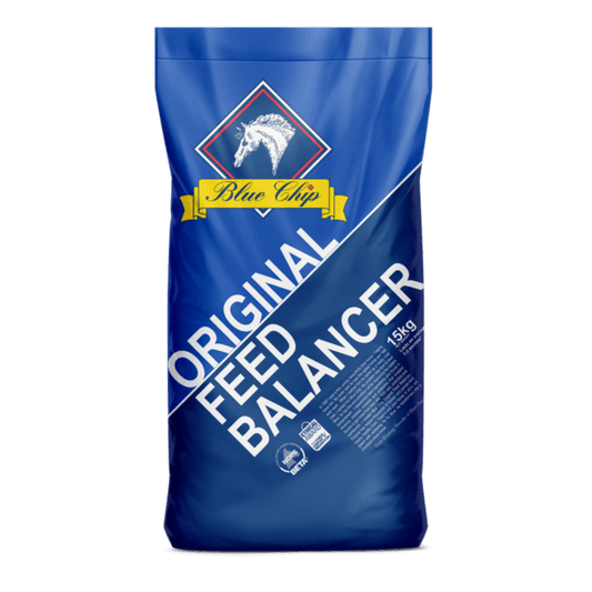 Boost your horse’s immune response with Blue Chip Original | Blue Chip