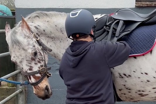 Why has my horse suddenly become bad tempered and girthy?