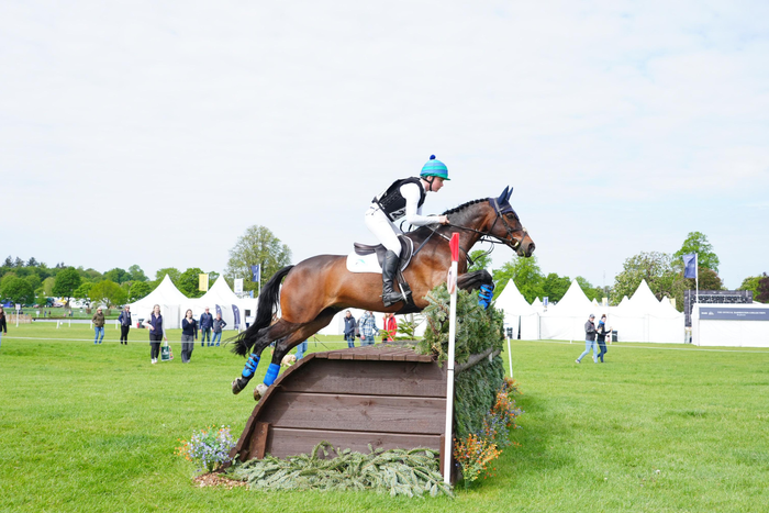 Joint support for horses