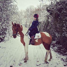 Top Tips for Surviving Snow with Horses | Blue Chip