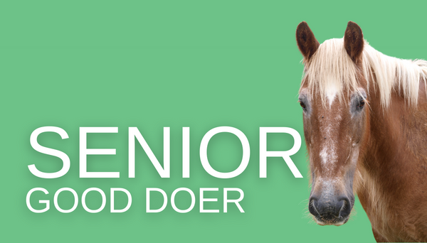 Senior Good Doer Feed Balancer – Blue Chip Feed