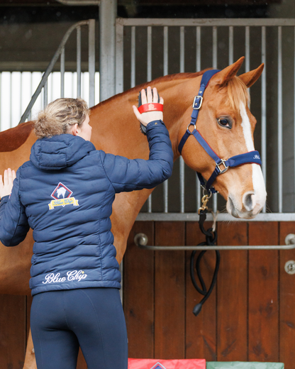 Blue Chip Padded Waterproof Winter Jacket