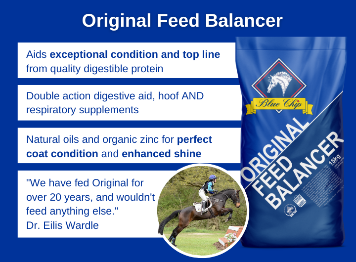 Blue Chip Original Feed Balancer Blue Chip Feed