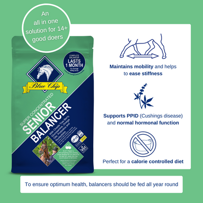 Senior Super Concentrated Feed Balancer - For age 14+ good doers