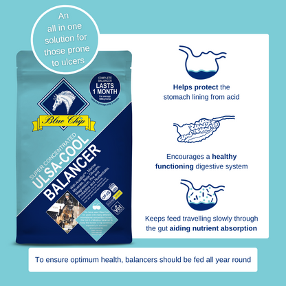 Ulsa-Cool Super Concentrated Feed Balancer - For those prone to ulcers