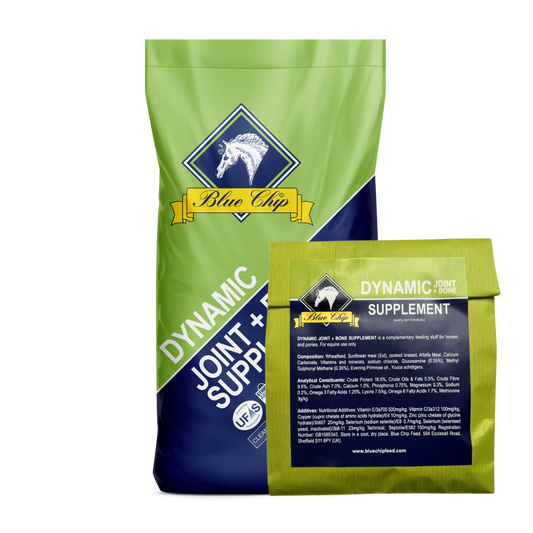 SAMPLE of Dynamic Joint and Bone Supplement