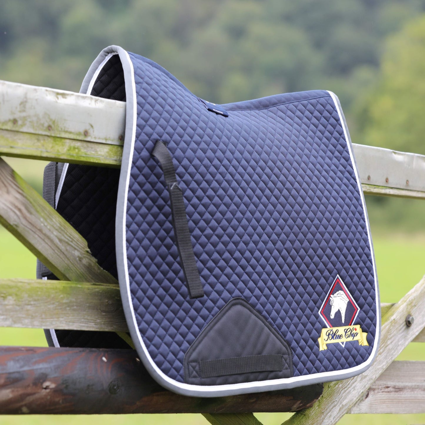 Blue Chip GP Saddlecloth - Navy