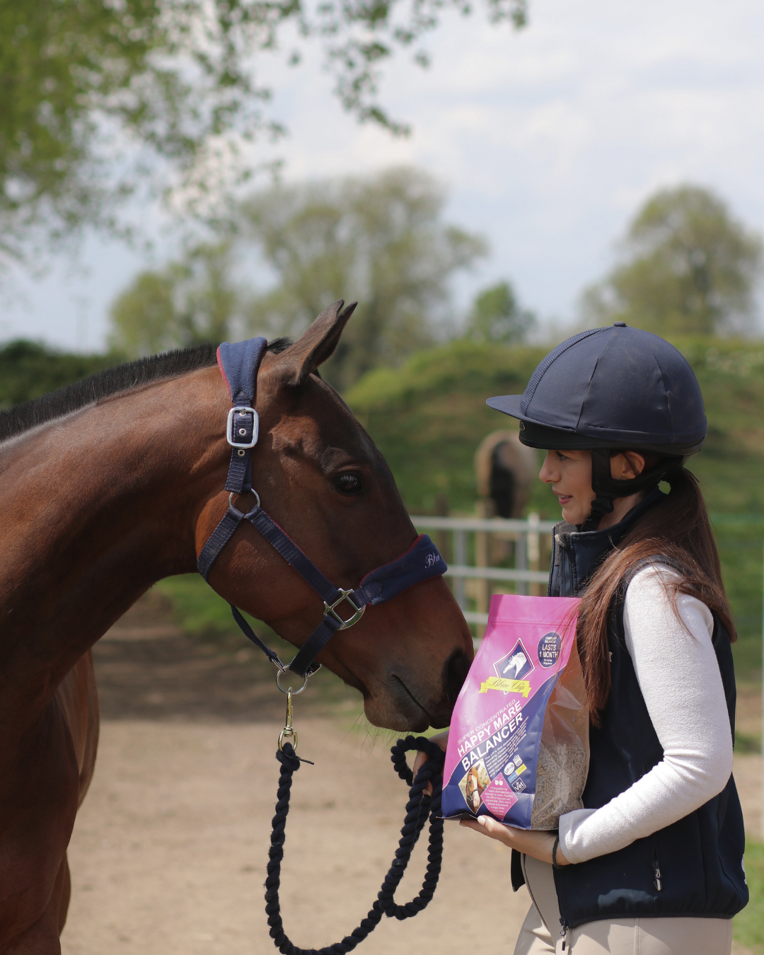 Happy Mare Super Concentrated Feed Balancer
