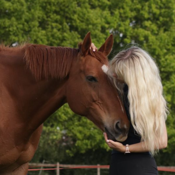 Woman with a blonde ponytail petting a brown horse in an outdoor setting with green trees.
