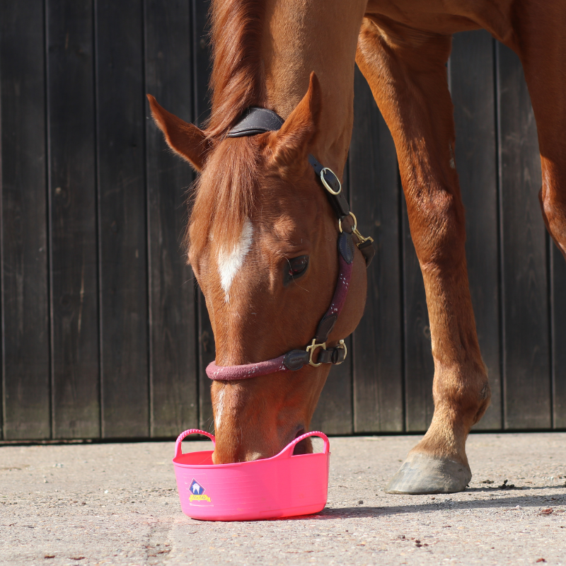 Happy Mare Super Concentrated Feed Balancer