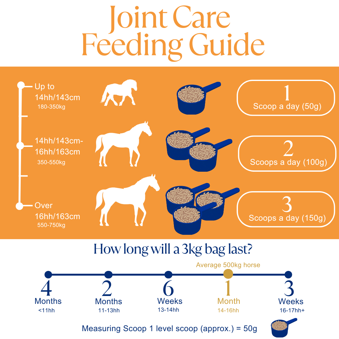 Joint Care Super Concentrated Feed Balancer