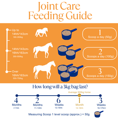 Joint Care Super Concentrated Feed Balancer