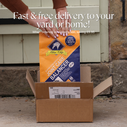 Joint Care Super Concentrated Feed Balancer