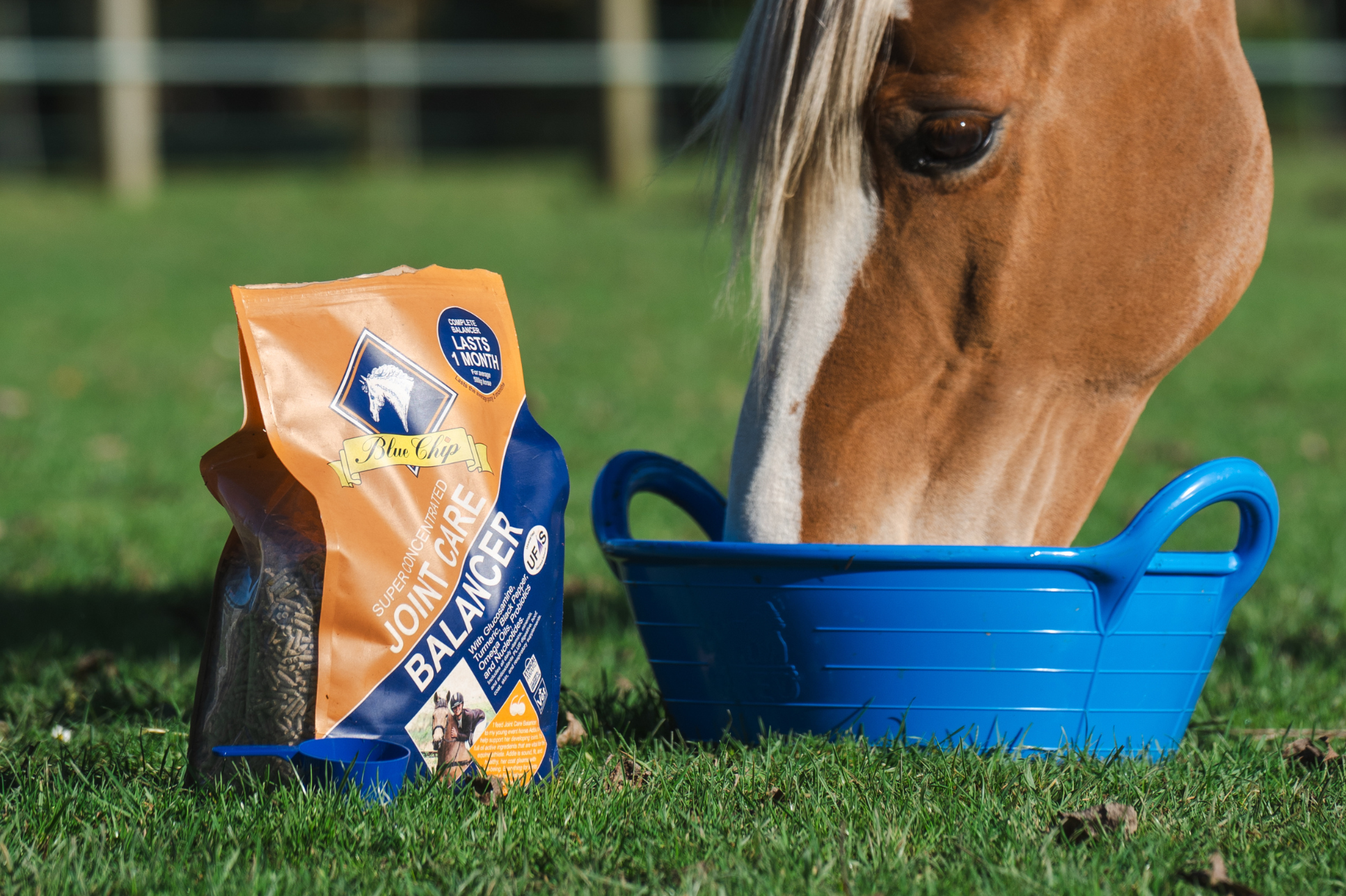 Joint Care Super Concentrated Feed Balancer – Blue Chip Feed