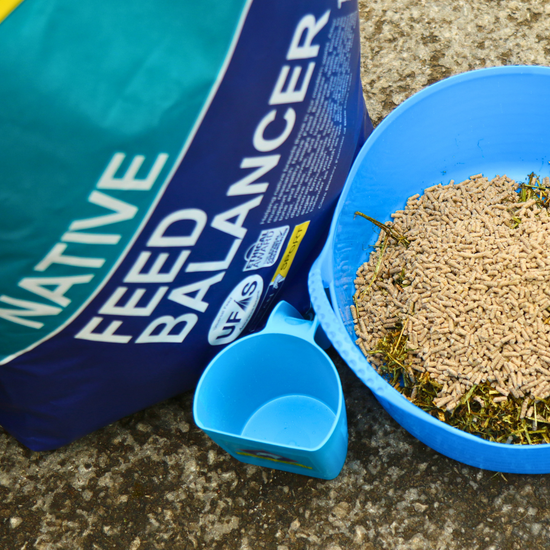 Blue Chip Native Feed Balancer – Blue Chip Feed