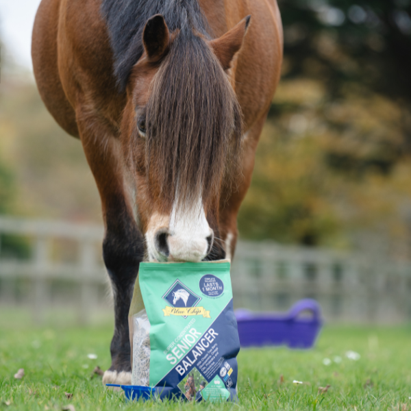 Senior Super Concentrated Feed Balancer - For age 14+ good doers