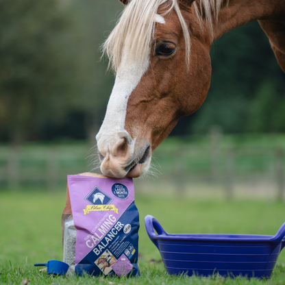 Calming Super Concentrated Feed Balancer - For daily calming