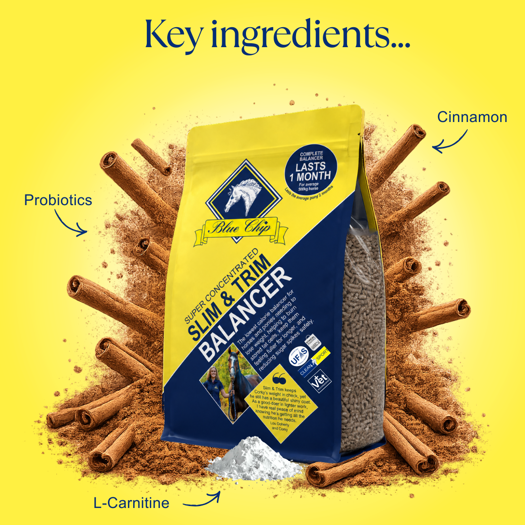 Slim & Trim Super Concentrated Feed Balancer
