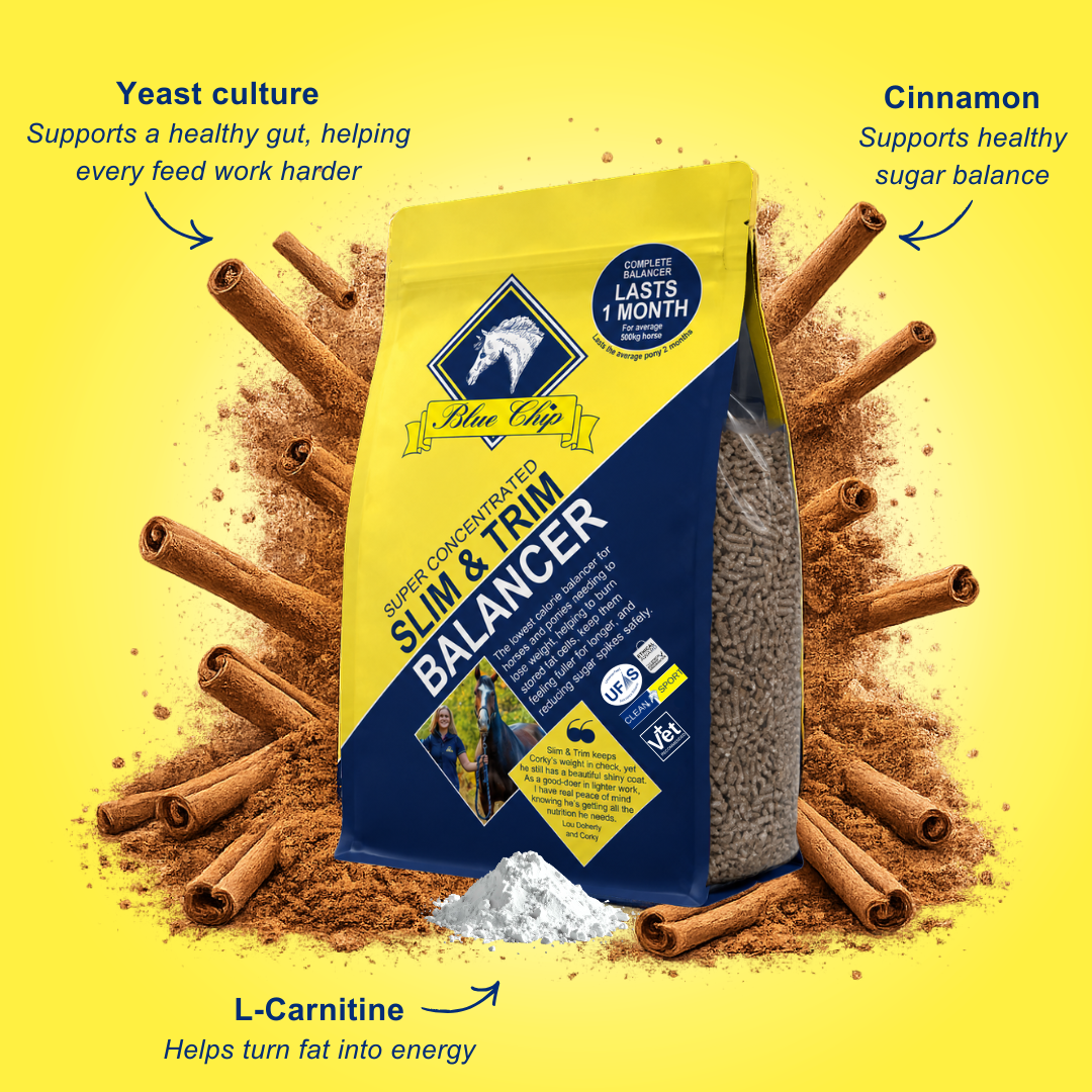 Slim & Trim Super Concentrated Feed Balancer