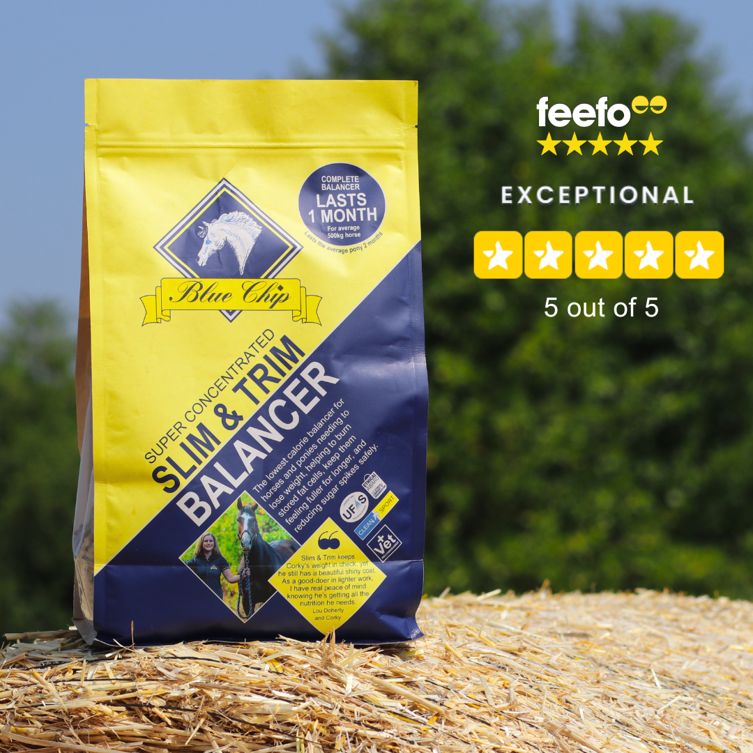 Slim & Trim Super Concentrated Feed Balancer