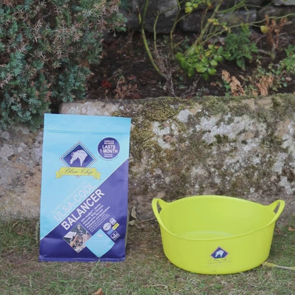 Ulsa-Cool Super Concentrated Feed Balancer - For those prone to ulcers