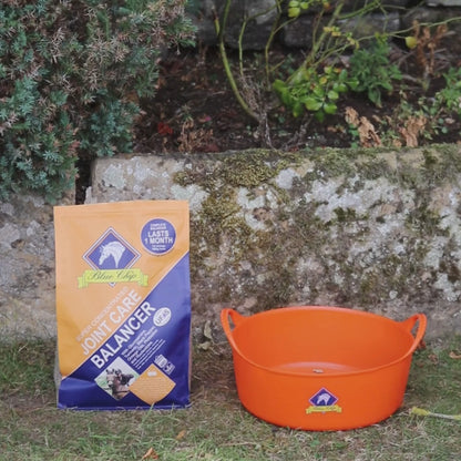 Joint Care Super Concentrated Feed Balancer - For daily joint support