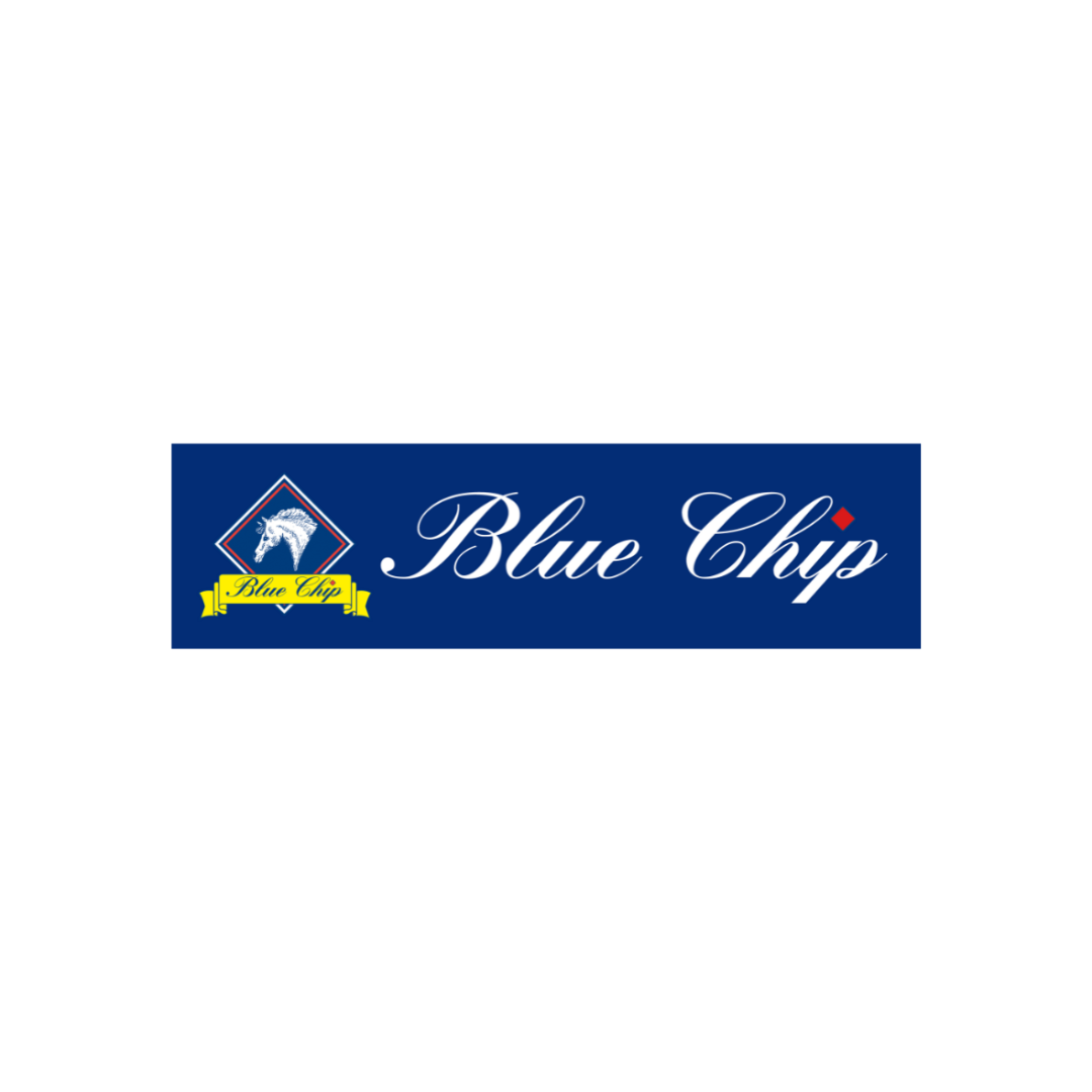 Blue Chip Banner