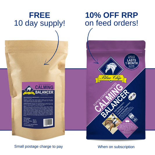 Blue buffalo free hot sale samples